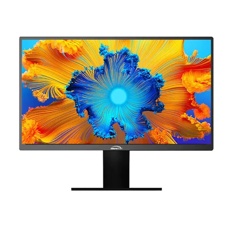 MICRSTAR MONITAR F24BS