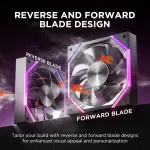 ASIAHORSE NYOTA KIT 3in1 BLACK REVERSE