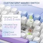 Redragon K707 PRO 80% Wireless Gasket RGB